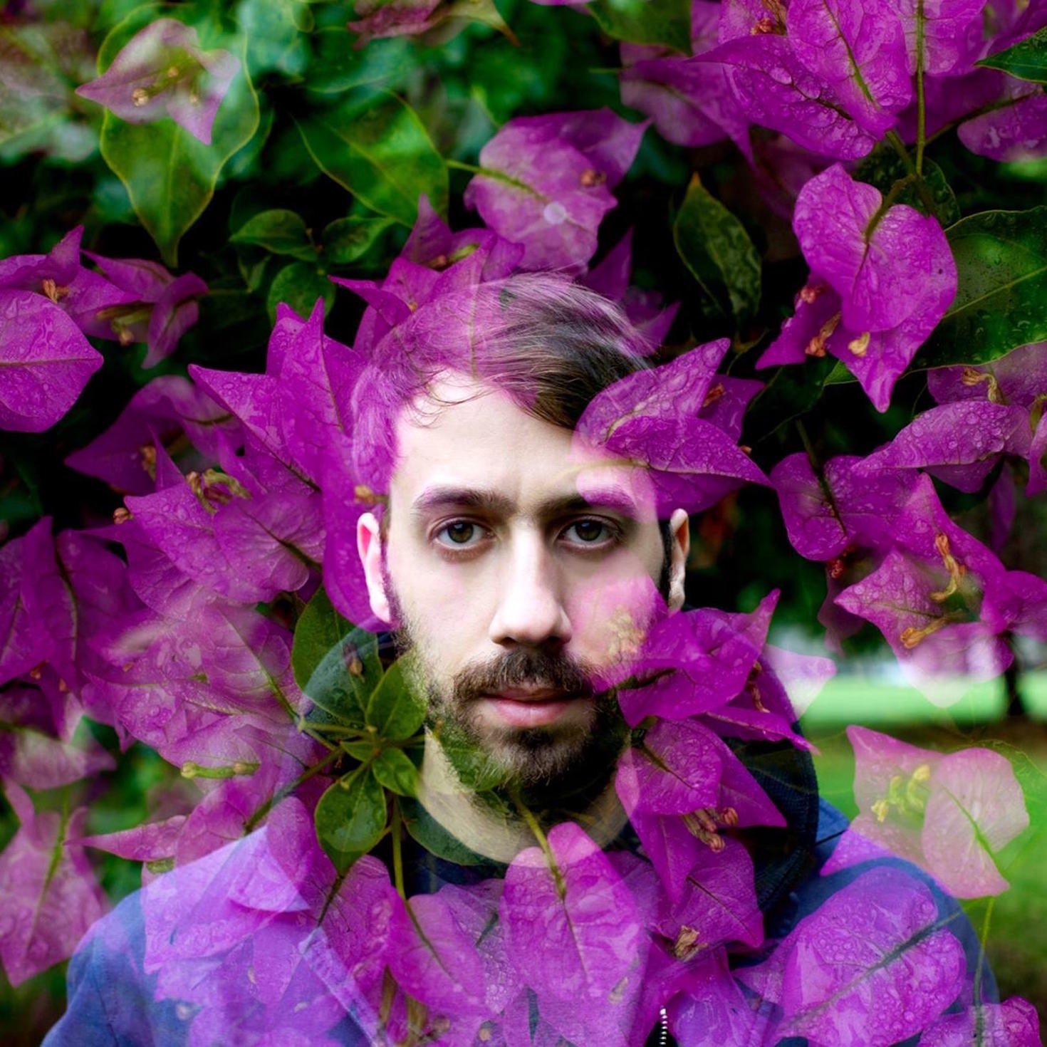 Gold Panda
